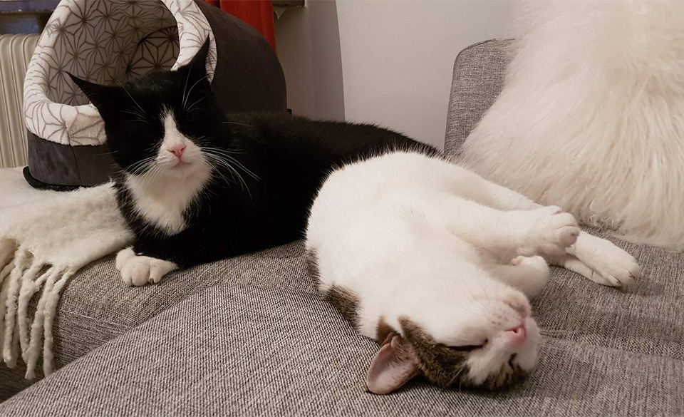 Athena och Eros kända från TV